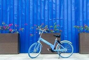 小鸣单车最新爆料 第2张 小鸣单车最新爆料 第2张