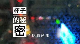 潍坊饭店爆料视频最新,揭秘背后惊人真相  第1张